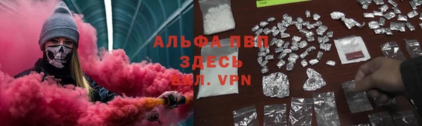 СК Волоколамск
