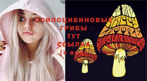 прущие грибы Верхнеуральск